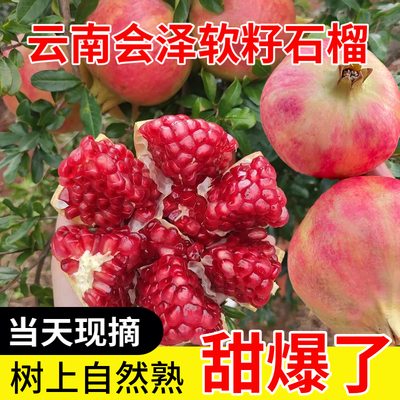 正宗云南会泽盐水软籽石榴整箱礼盒特大果10斤鲜果突尼斯新鲜水果