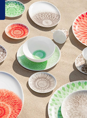 俄皇LOMONOSOV碗盘碗碟IPM HOME骨瓷餐具夏威夷ALOHA系列餐盘子碗