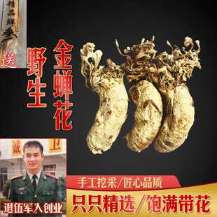 2025年新货大别山野生金蝉花500g正品蝉花虫草粉金蚕花知了花虫草