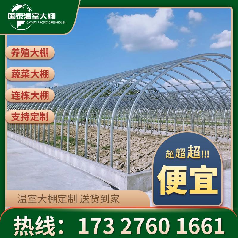 大棚钢管骨架拱棚配件定制蔬菜种植养殖椭圆管连体连栋棚全套支架