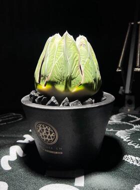 11潮流块根植物龙舌兰龟甲龙SRL花盆陶瓷NEIGHBORHOOD藤原浩