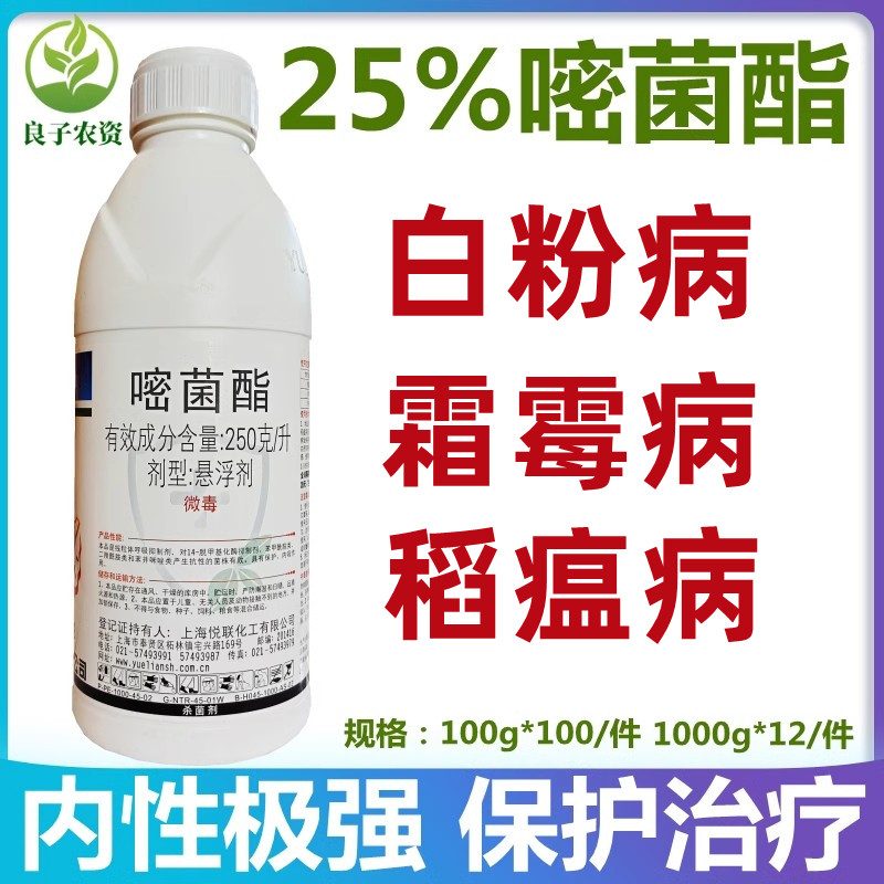 嘧菌酯水稻稻瘟病白粉病杀菌剂