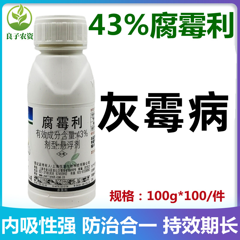 43%腐霉利专用药杀菌剂