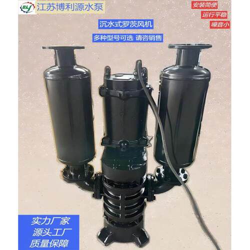 博利源沉水风机河道治理污水处理沉水风机节能效送风SRB50-3.7