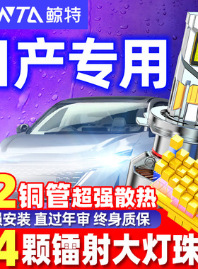 适用日产经典新轩逸奇骏逍客阳光天籁骐达骊威颐达LED大灯泡