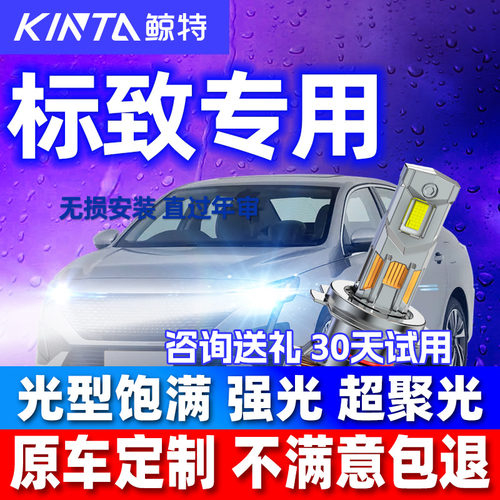 鲸特标致专用安全LED大灯
