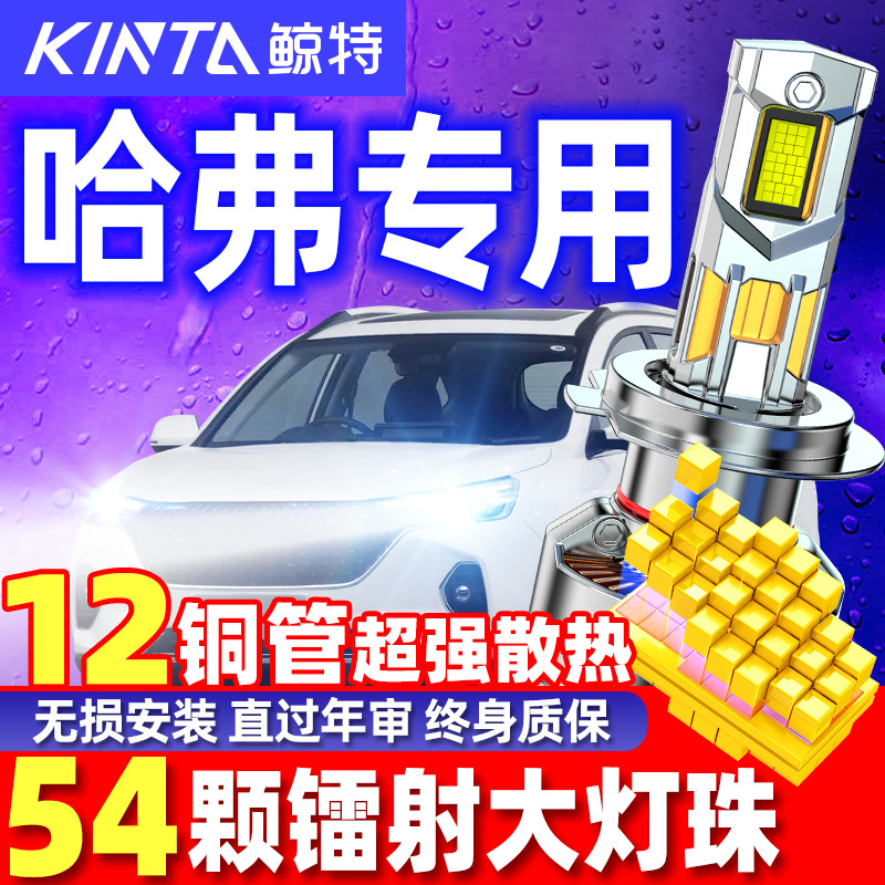 适用哈弗车系专用灯泡