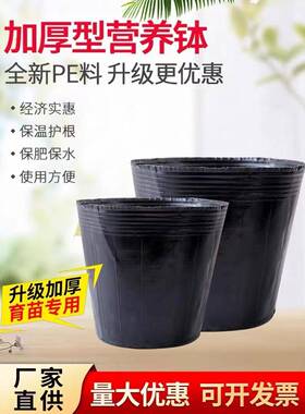 育苗营养杯育苗袋大号一次性塑料花盆育苗杯营养钵加厚营养袋农用