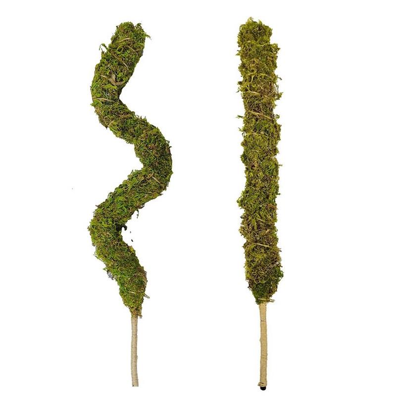 龟背竹水苔柱支撑杆老桩植物支架水台造型攀爬柱椰棕防倒伏苔藓柱图片