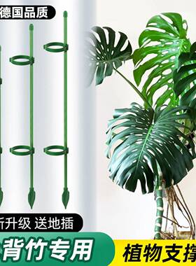 龟背芋支撑架防倒伏支架园艺植物支伸缩杆花盆支架蔬菜番茄爬藤架