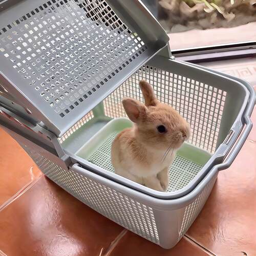 兔子外出便携笼透气网格带手提宠物箱室外龙猫荷兰猪小型宠外带笼
