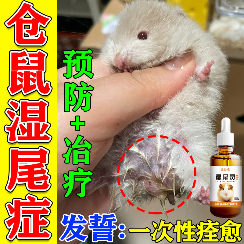 仓鼠湿尾专用药金丝熊感冒拉稀拉肚子精神萎靡感冒胀气急救湿尾灵