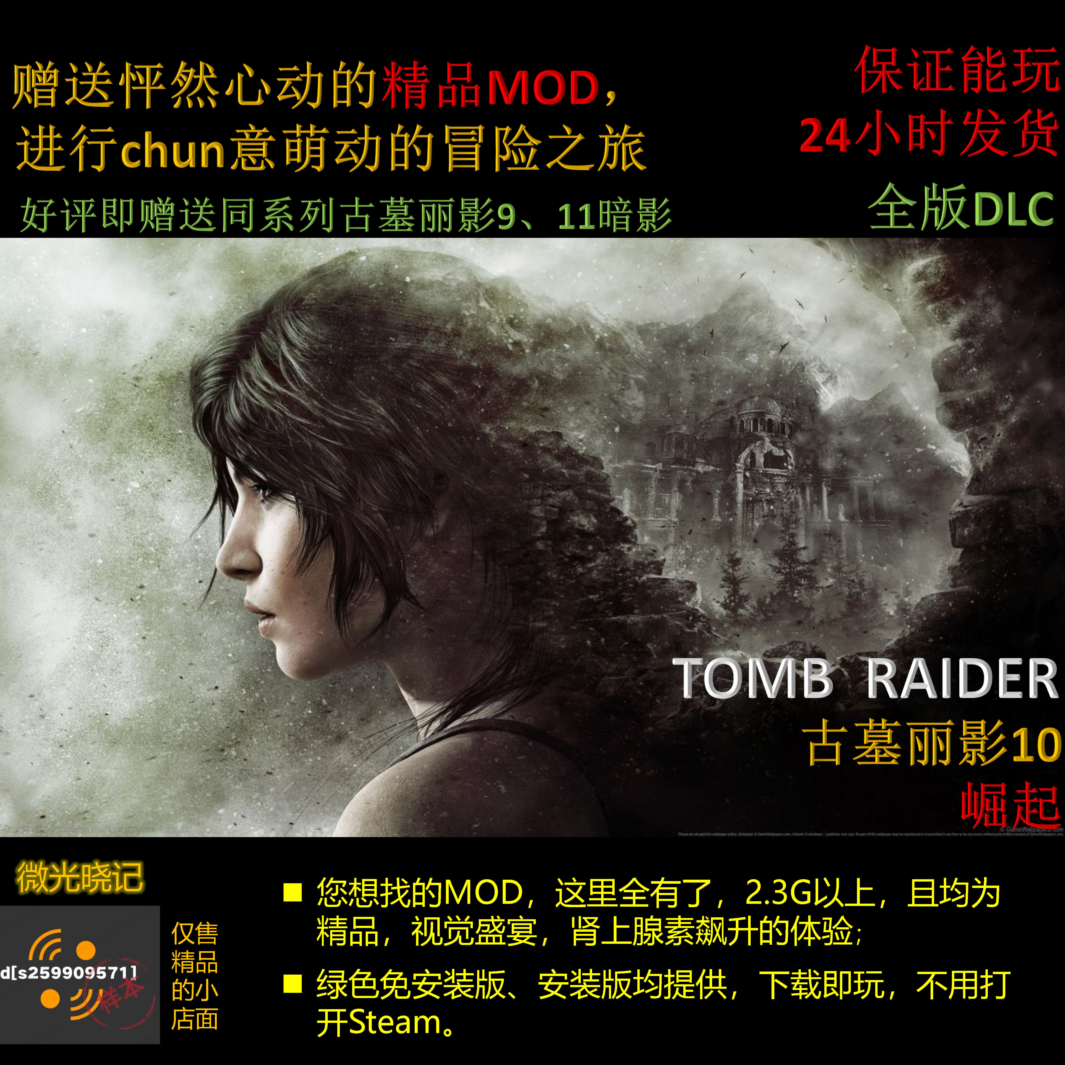 古墓丽影10崛起精品mod全dlc赠送古墓丽影9古墓丽影11暗影