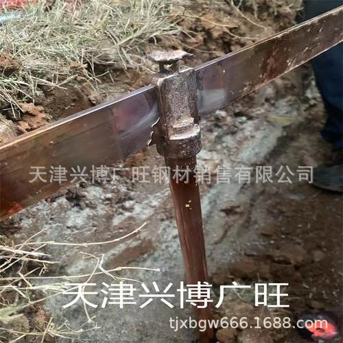 一尖一平铜包钢接地棒铜覆钢接地 镀铜接地极 垂直接地体 15*2500
