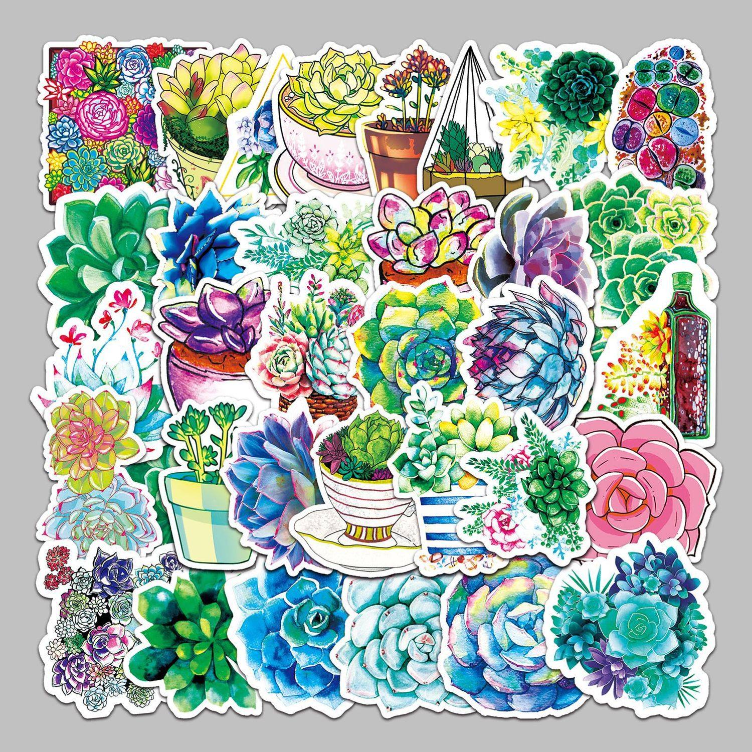 50张多肉绿植卡通ins风装饰贴纸行李箱滑板车头盔汽车摩托车贴纸