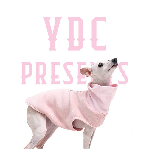 ydcstore小灵缇奥粒绒潮酷外套狗