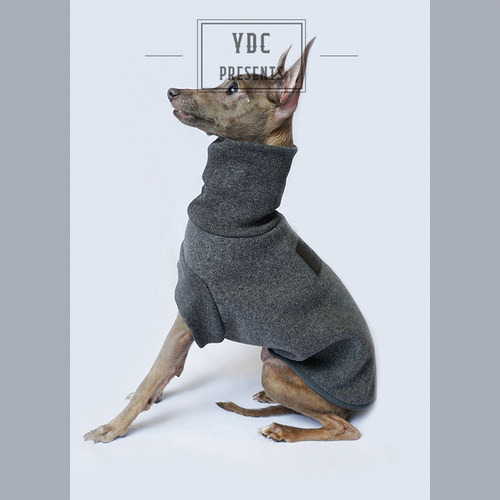 ydcstore意大利灵缇惠比特狗狗