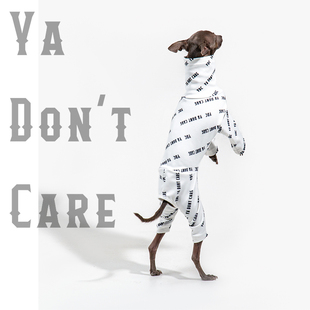 YDCStore字母logo印花限量福利款小灵缇惠比特贝林顿高弹四脚衣