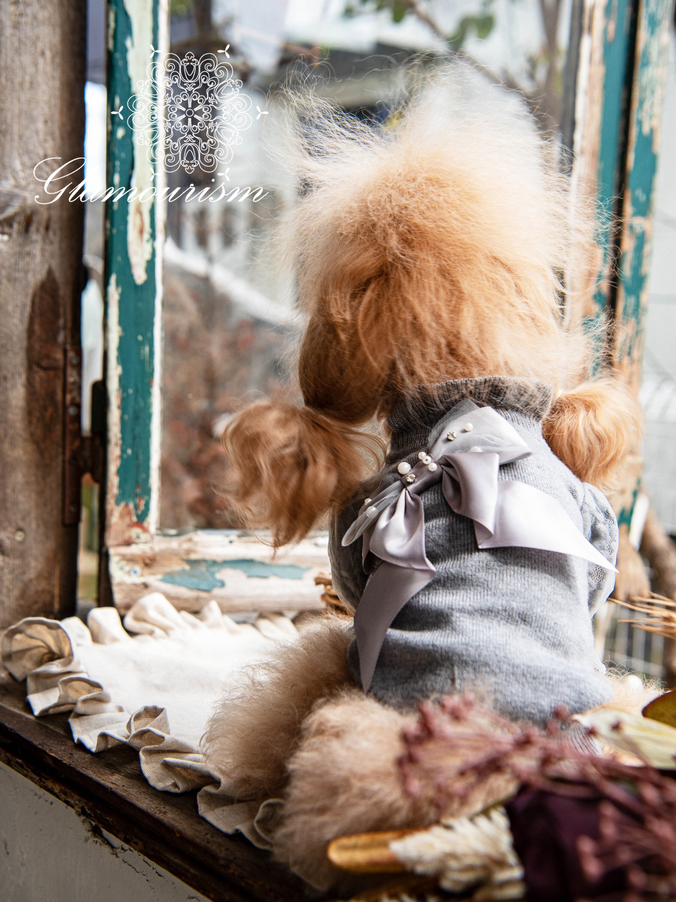 魅意Glamourism日本品牌宠物服装 梅茜 羊绒毛衣优雅柔软保暖舒适