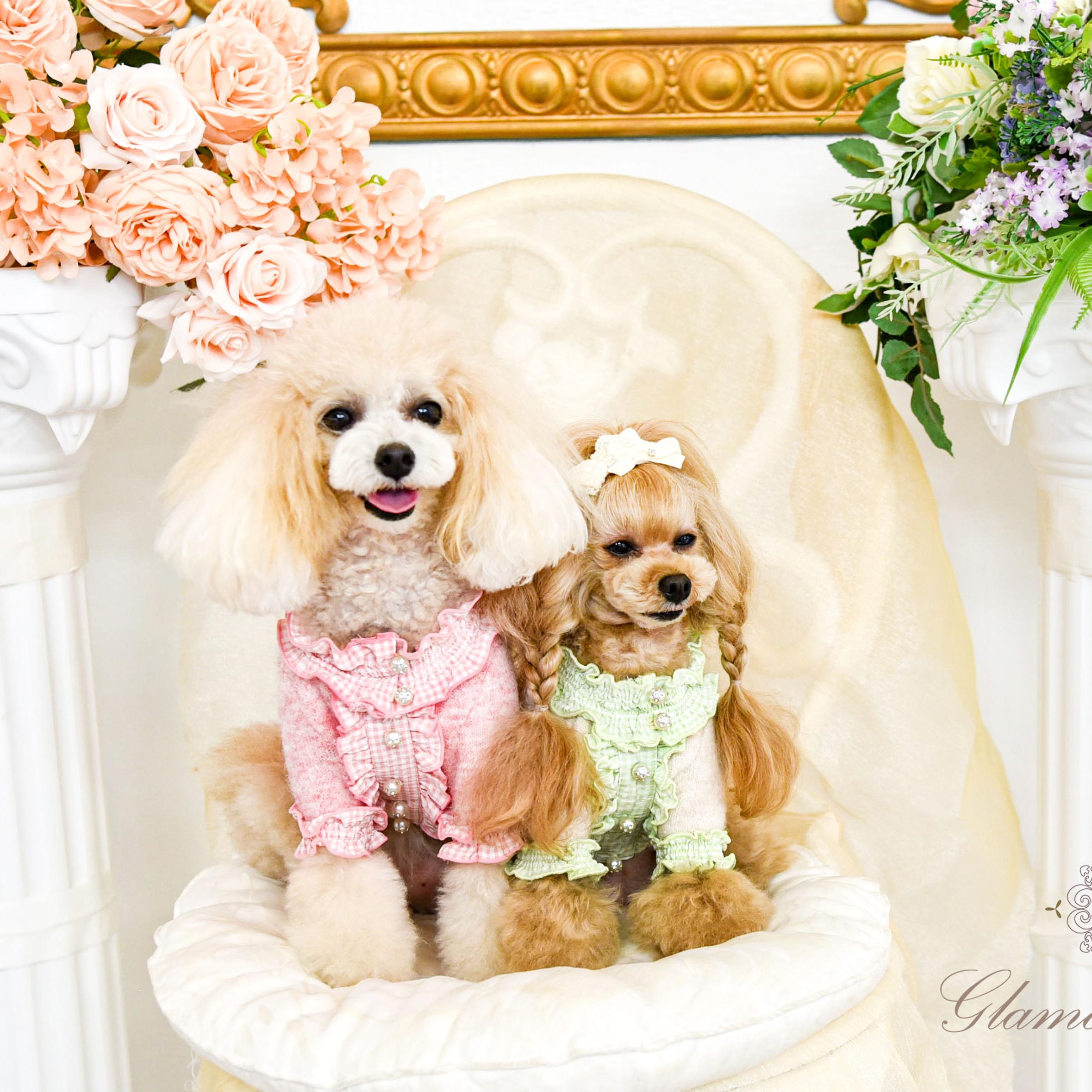 魅意Glamourism日本品牌宠物服装 蕾茜 花边毛衣 优雅柔软保暖