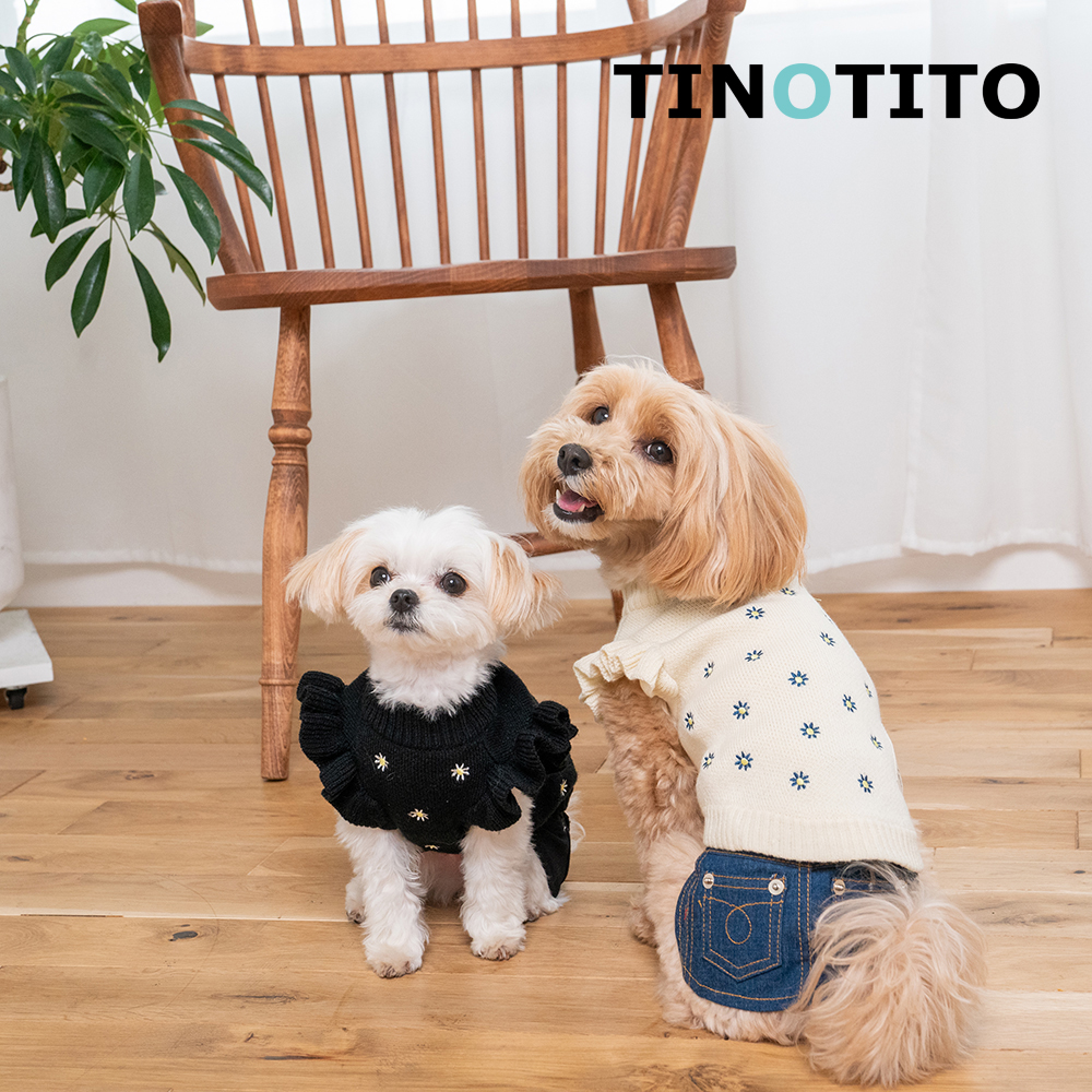 提诺Tinotito日本品牌宠物服装秋冬 荷叶袖雏菊毛衣 保暖可爱优雅