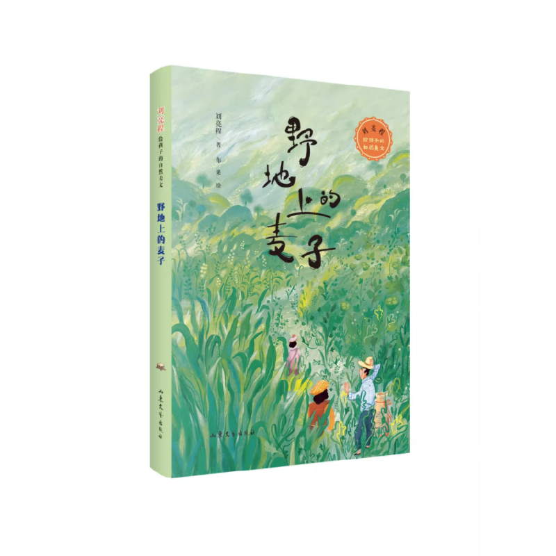 野地上的麦子 刘亮程给孩子的自然美文