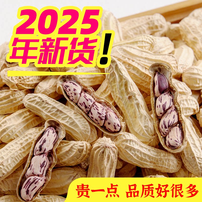 云南特产七彩花生新货带壳米水煮咸干新鲜烘炒五彩熟花皮花生500g