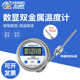 数显温度计带探头WST DTM 491高精度电子工业防水数字水温表
