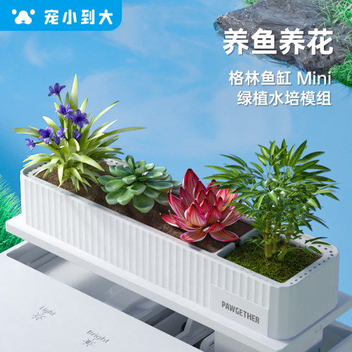 宠小到大格林鱼缸绿植水培模组