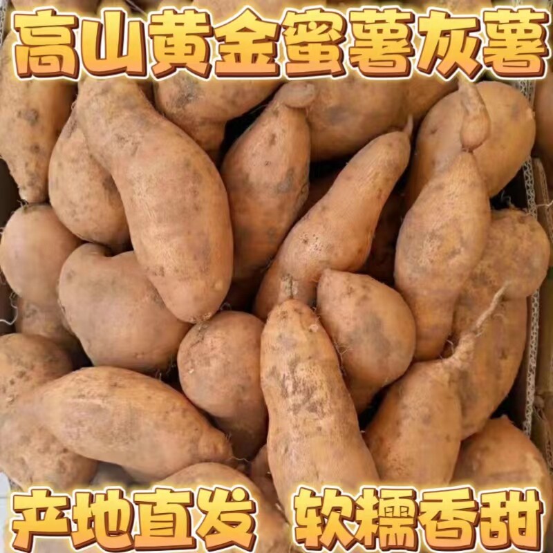 云南高山蜜薯灰薯建水黄金蜜薯