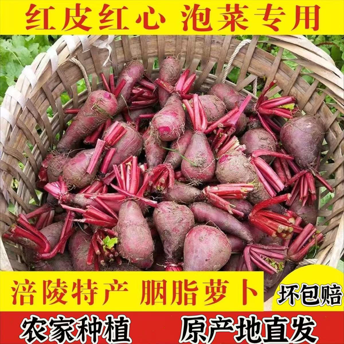 涪陵胭脂萝卜红心萝卜新鲜红皮红心泡菜专用萝卜非紫美人产地直发