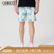 夏季 沙滩裤 新款 休闲短裤 男士 ORRDT澳林丹顿男装