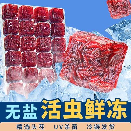 冰冻红虫牛心汉堡鱼食丰年虾六角恐龙鱼饲料罗汉鱼食七彩神仙鱼粮