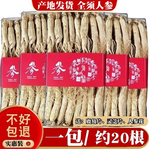吉林年头生晒参长白山脉