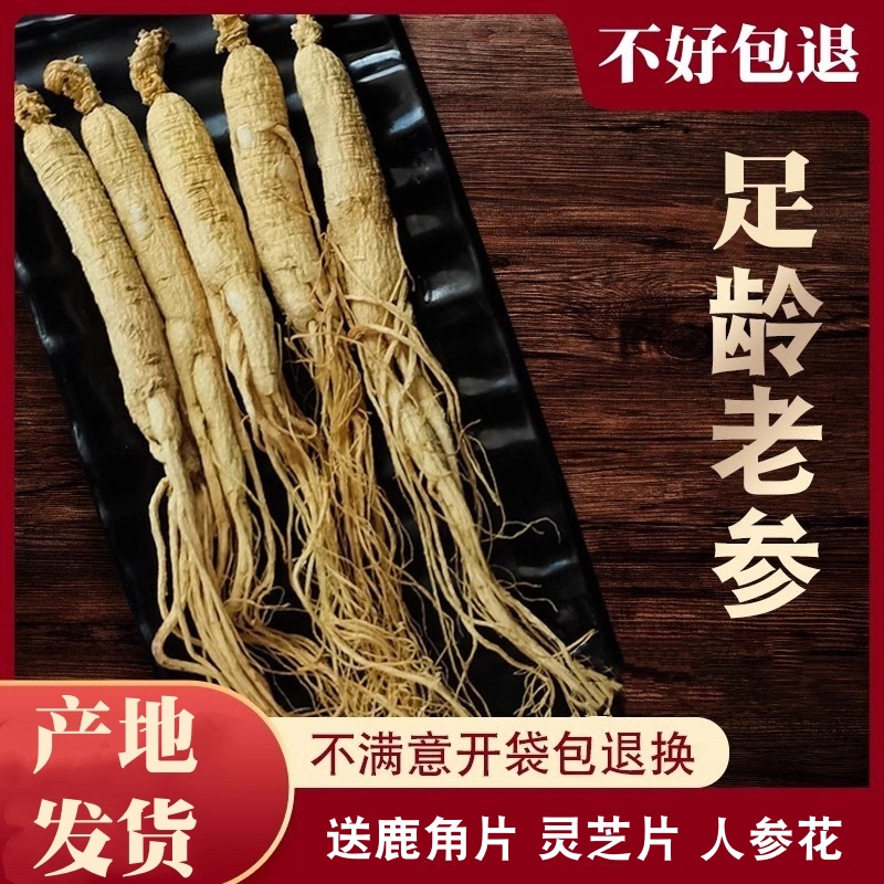 整支生晒参干人参东北人参吉林长白山脉人参新鲜白参干人参可切片