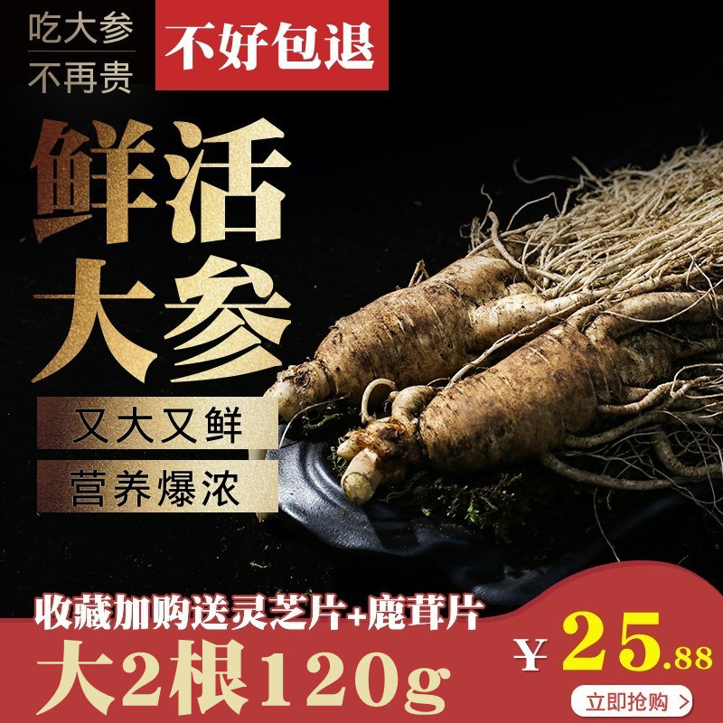 特大支500g鲜人参长白山野外人参新鲜带土参泡酒林参东北特产人叁使用感如何?