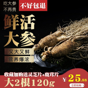 特大支500g鲜人参长白山野外人参新鲜带土参泡酒林参东北特产人叁