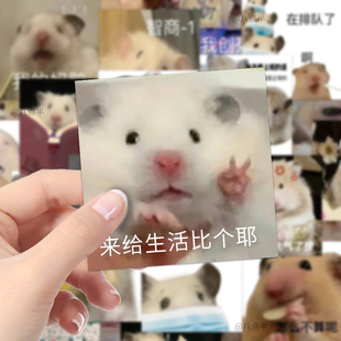 60张鼠鼠表情包贴纸搞笑沙雕装 饰贴画防水涂鸦卡通可爱贴diy贴画
