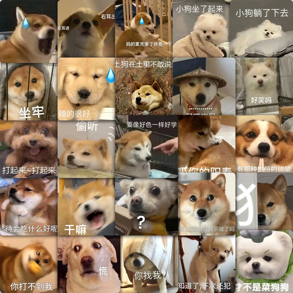 59张小狗表情包贴纸防水贴画