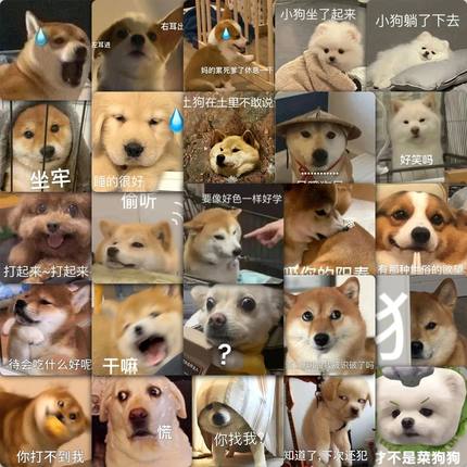 59张小狗表情包贴纸搞笑沙雕创意装饰手机笔记本电脑桌面防水贴画