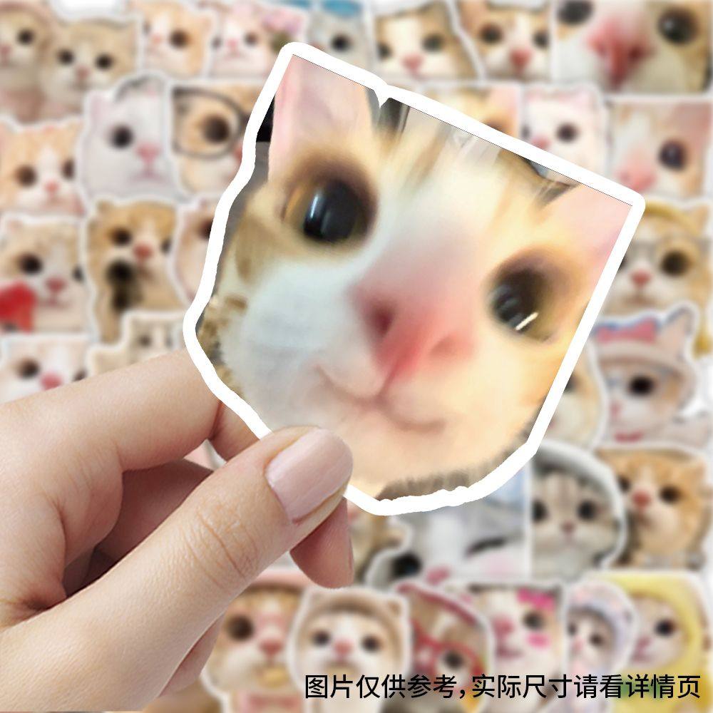 60张大脸猫咪贴纸可爱卡通趣味装饰手账素材防水标签行李箱自粘贴,文具电教/文化用品/商务用品,贴纸/立体贴纸,淘宝优惠券,粉丝福利购,淘宝优惠卷