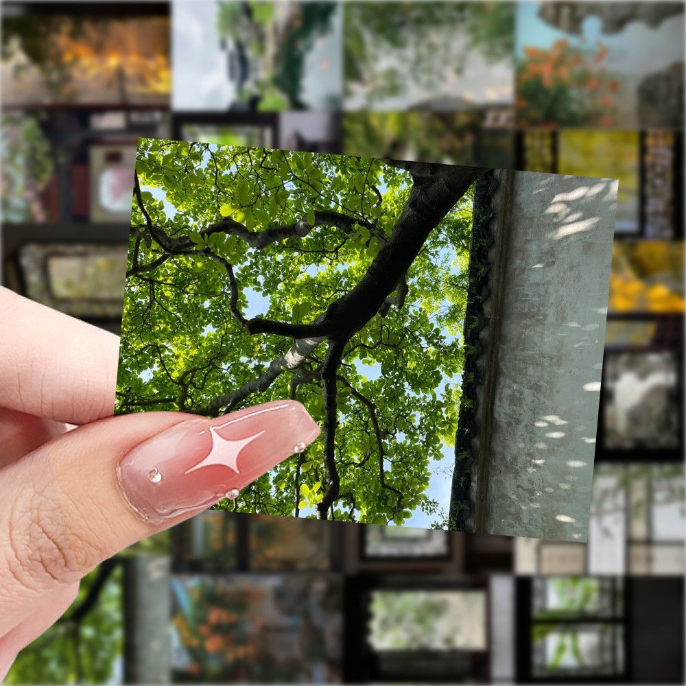 苏州园林贴纸治愈风景创意装饰