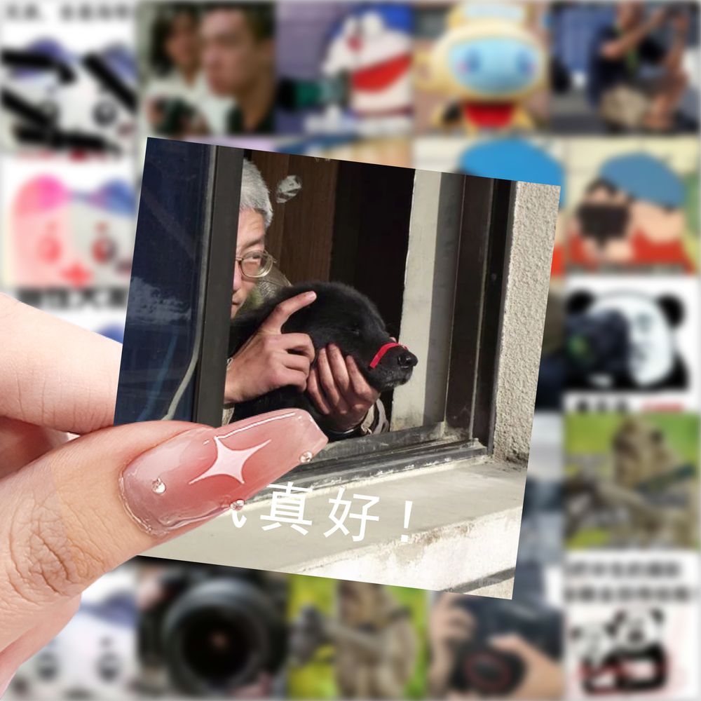 59张摄影表情包贴纸高颜值卡通有趣装饰手机壳电脑桌面防水贴画