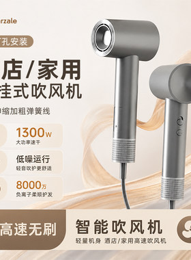 8000万负离子护发1300W免打孔