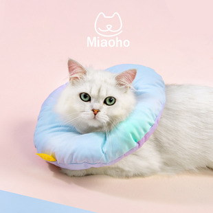 Miaoho 彩虹渐变防水头套猫狗用宠物绝育宠物软伊丽莎白圈基础版