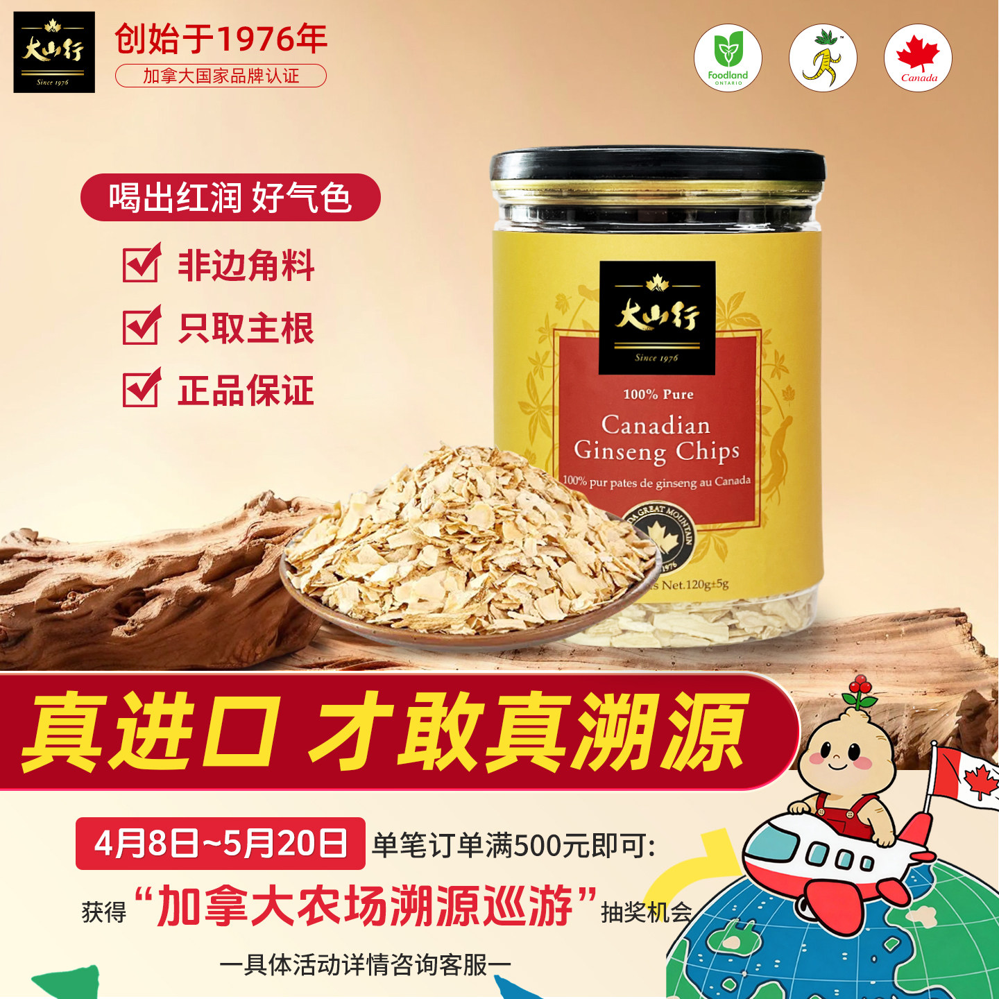 大山行西洋参碎切片加拿大进口花旗参5年足龄滋补自用玉灵膏