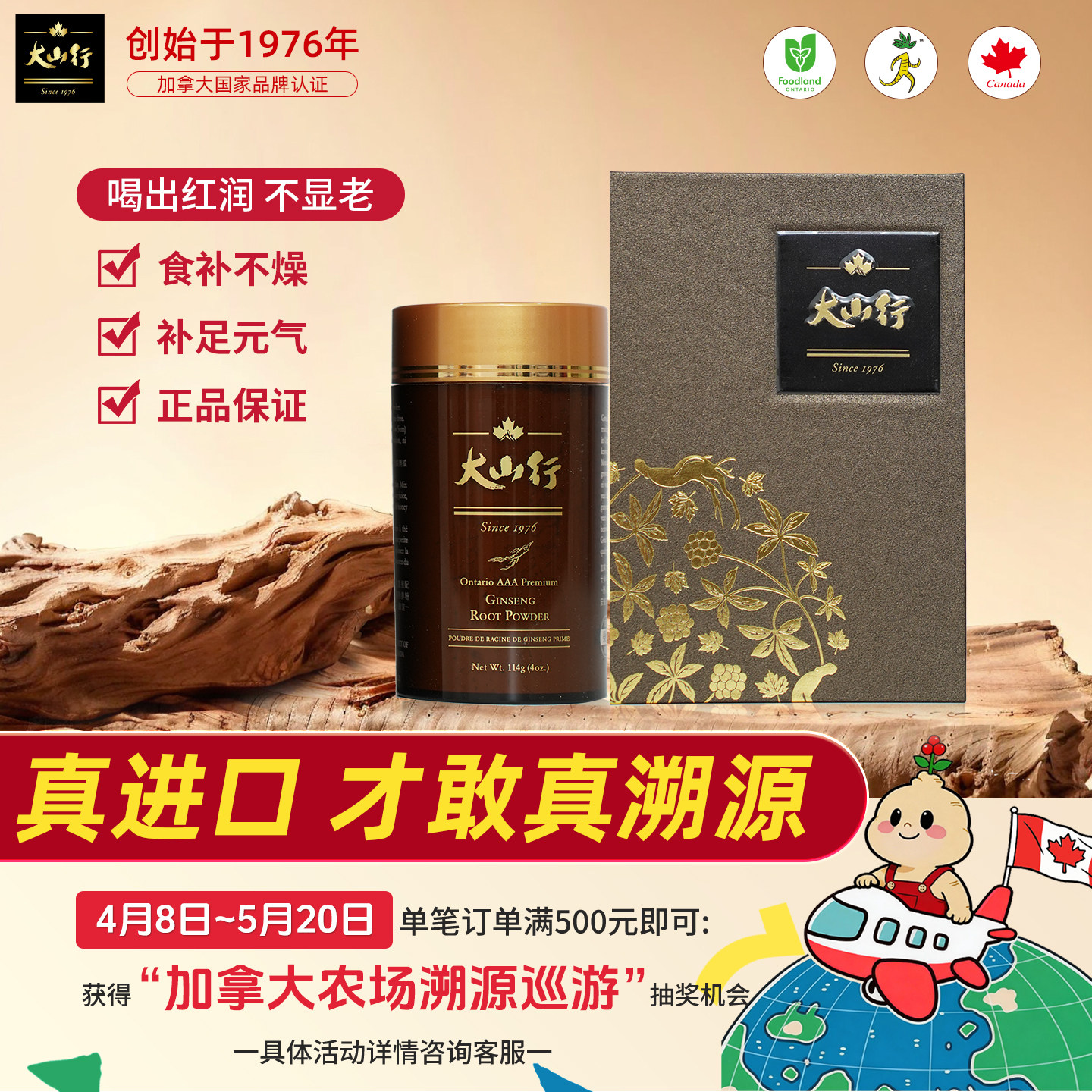 【原装进口】大山行进口加拿大西洋参粉泡参打粉114g养生正品保税