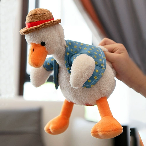 Подарок на день рождения девочки Практическая выпускница даст друзья -подруги, уговоры подруга артефакт маленький подарок вступительный экзамен в колледж давай