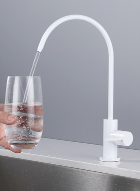 WINMV 白色304不锈钢厨房水槽净水器龙头无铅直饮机专用单冷2分