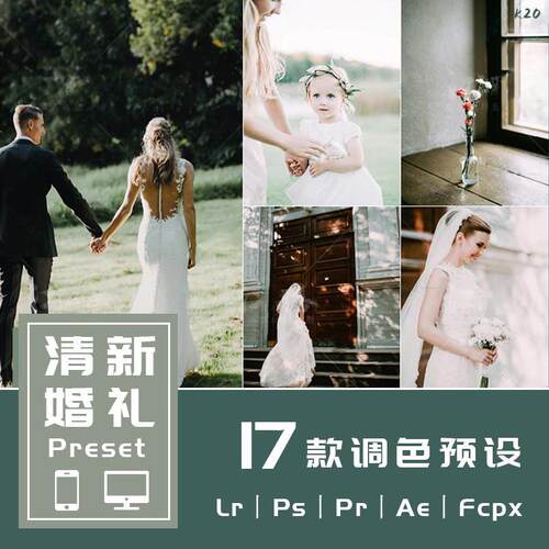 Lr预设PsPr调色转场青春婚纱婚礼跟拍滤镜手机lightroom预设Lut